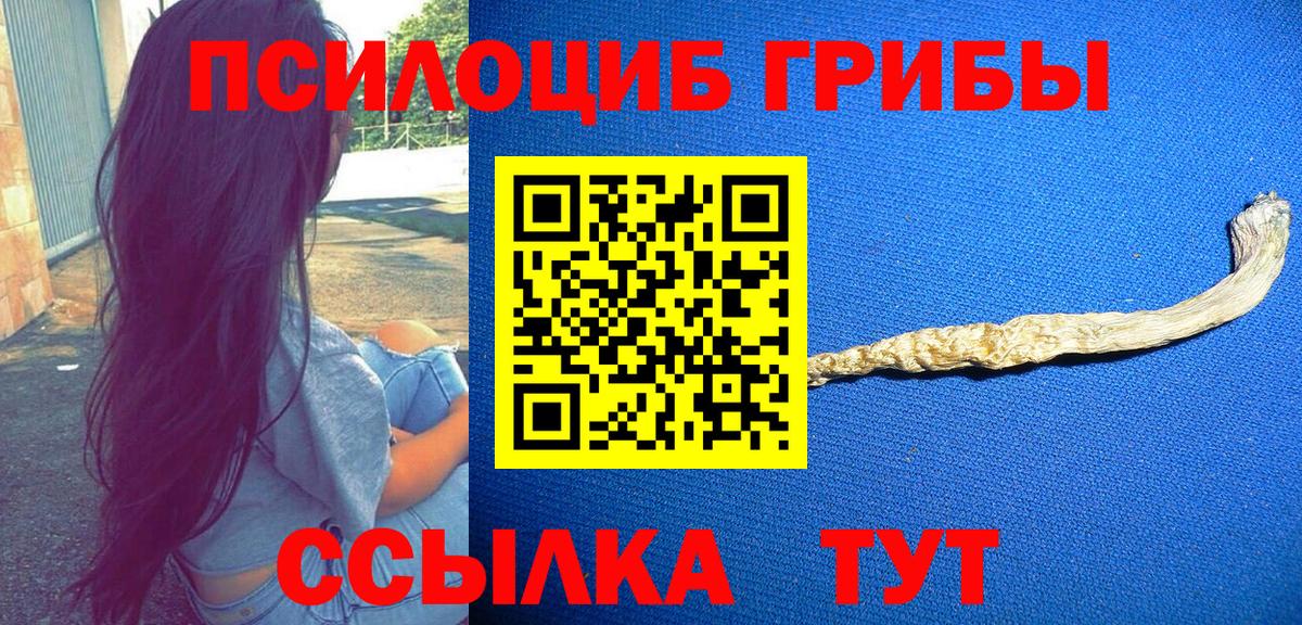 Галлюциногенные грибы GOLDEN TEACHER Гурьевск