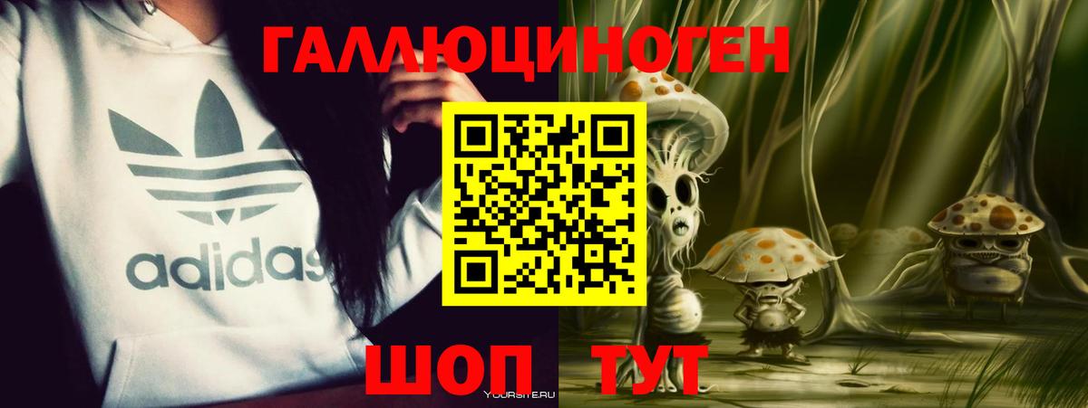 Гурьевск  Псилоцибиновые грибы Psilocybe  Вход с VPN 